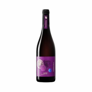 terredirai merlot trevenezie igt